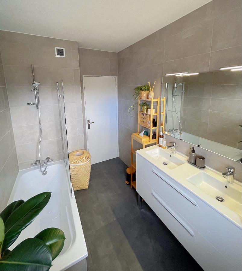 Appartement Tres Cosy A 5 Min Aeroport Geneve Ferney-Voltaire Esterno foto