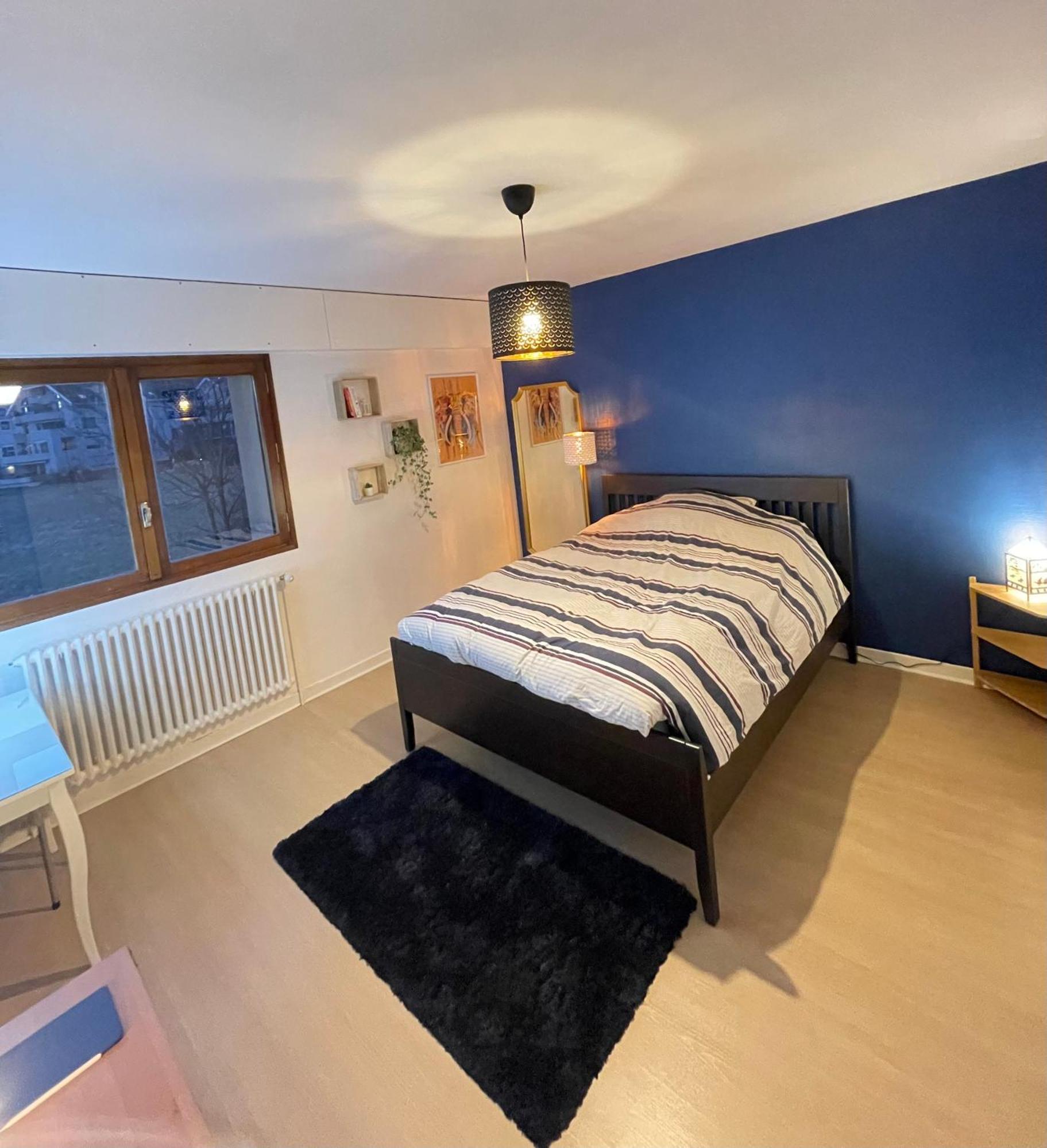 Appartement Tres Cosy A 5 Min Aeroport Geneve Ferney-Voltaire Esterno foto