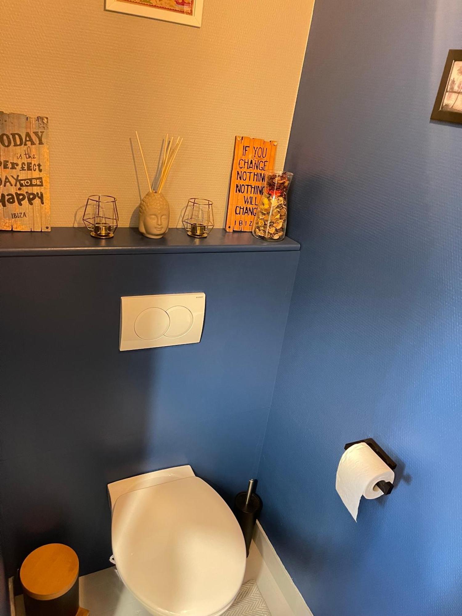 Appartement Tres Cosy A 5 Min Aeroport Geneve Ferney-Voltaire Esterno foto