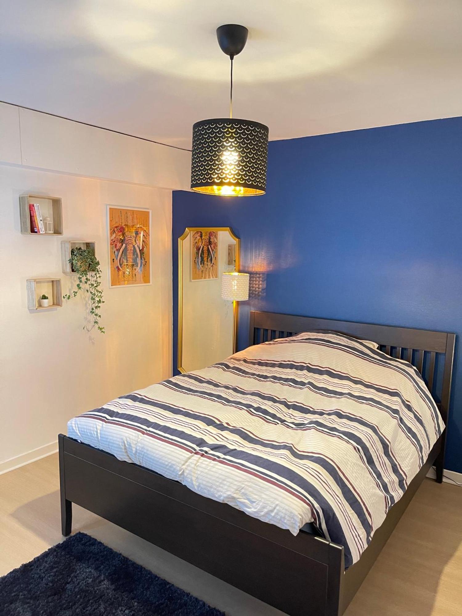 Appartement Tres Cosy A 5 Min Aeroport Geneve Ferney-Voltaire Esterno foto